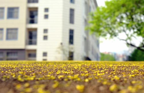 �r�ⲻ�٣����x�������^