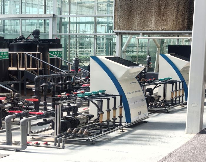 ɽ�|�W(xu��)�������l(xi��ng)���ǻ۲ˈ@����˼����(bi��o)��(zh��n)�Nֲ���¹�