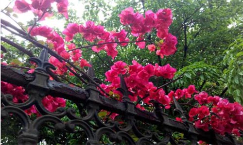 �χ�(gu��)У�@�������箋