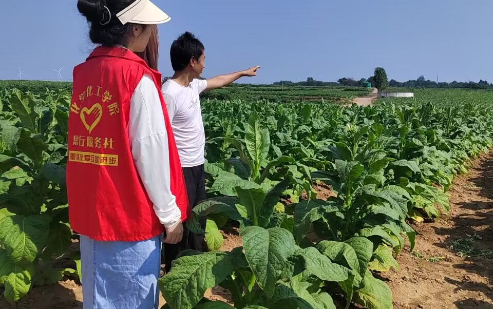 ̽�l���d�����M���~����