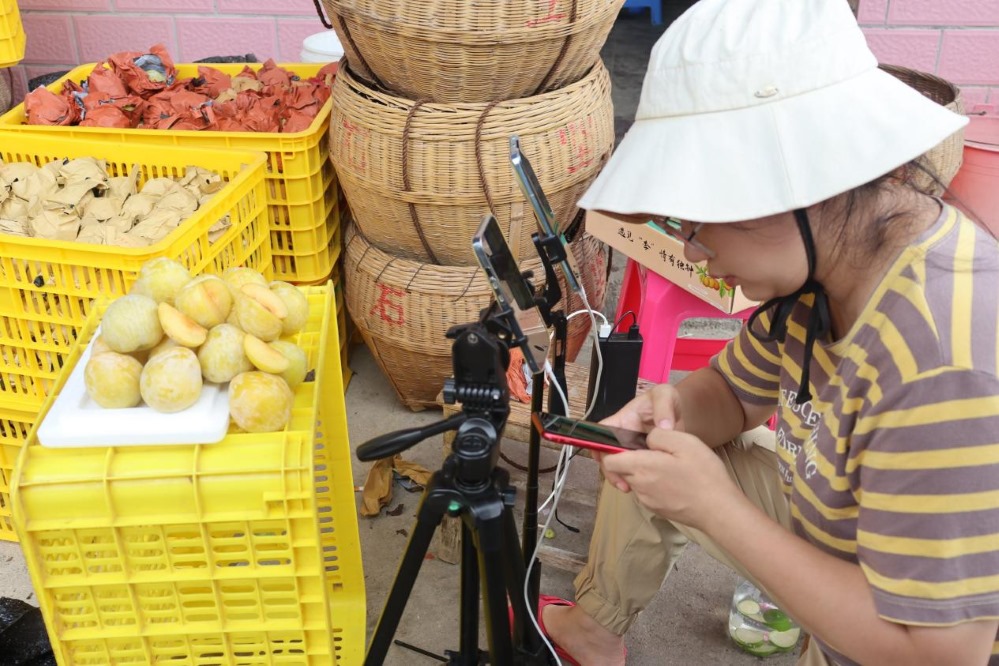 �V�|�����W�������l���������r����ů�ɽ�