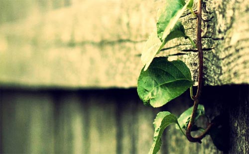 �Է� ���ǡ������I�ˣ���߀�Æ᣿