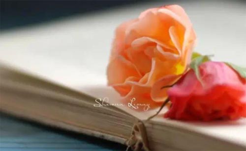 ����֮��