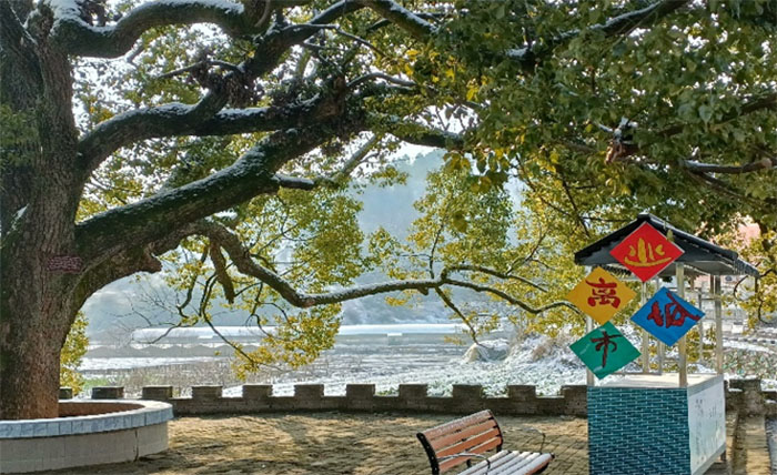 �M�����ƺ���ޱС��ЌW���أ�̽�����������c�l�����d��������