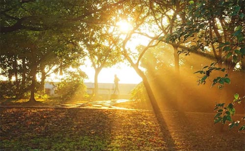 ����������ꖹ������F