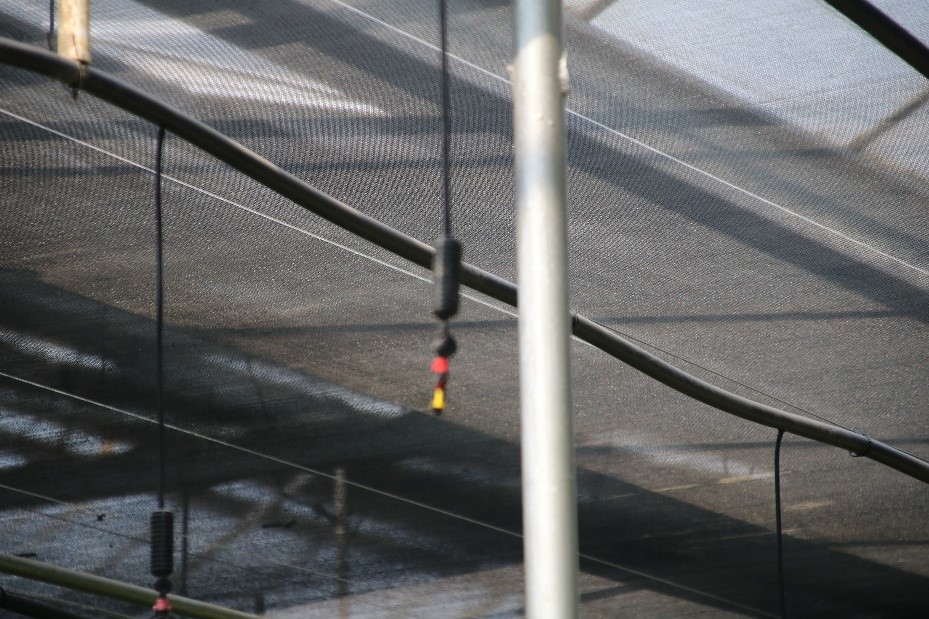 �������z����Сꠊ^�����M�ǻ��r�I--̽�Lƽ���������