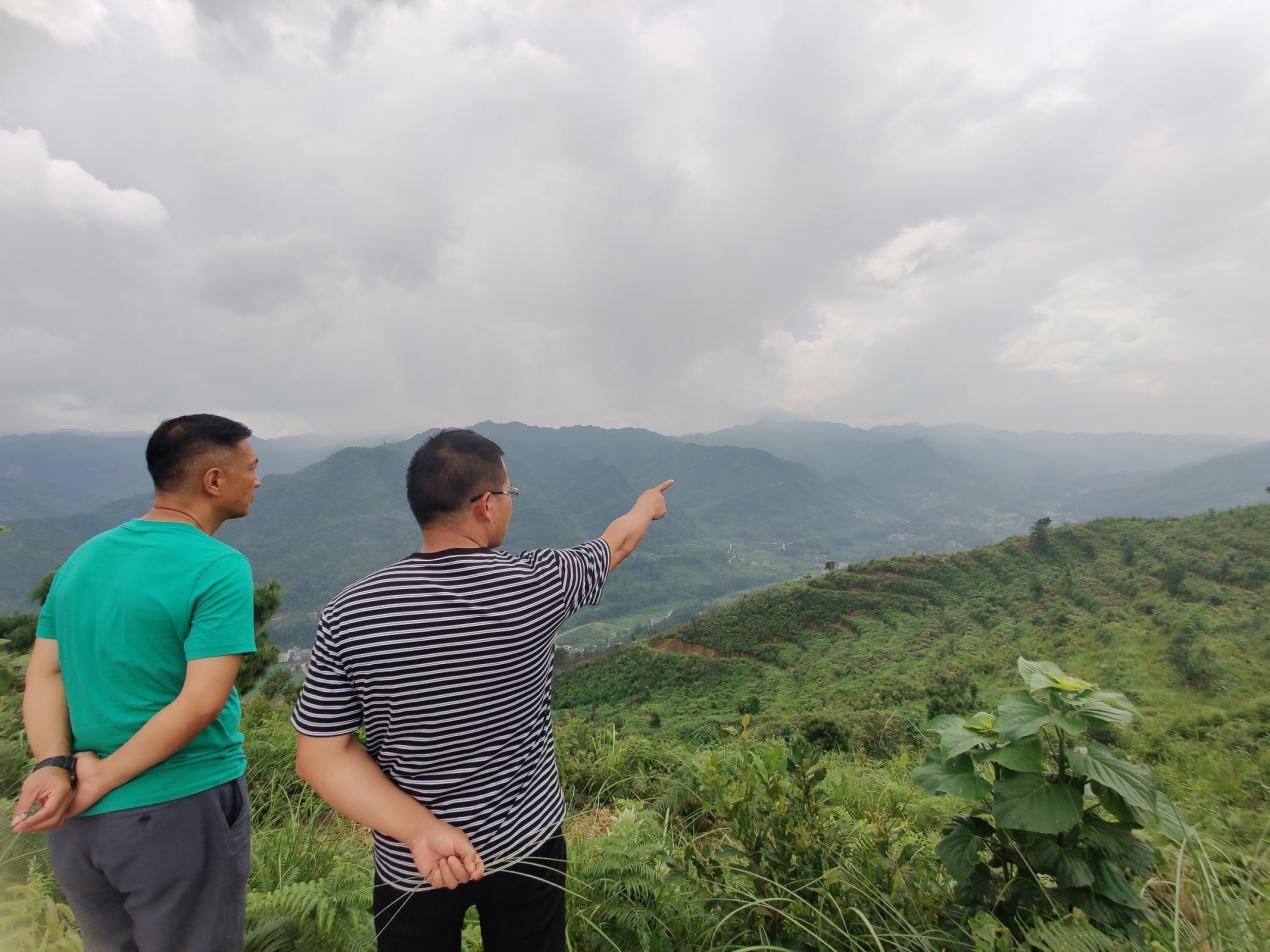  ��(du��)�Tɽ���c��������l(xi��ng)�����d��(chu��ng)��֮·