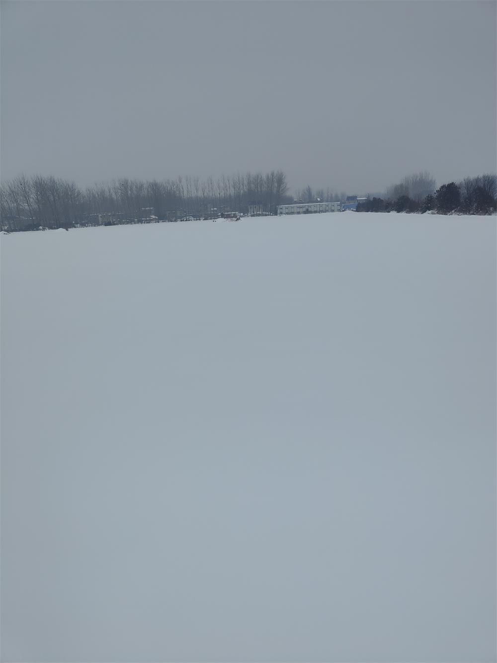 ���������x����ѩ ������l�M΢��֮��