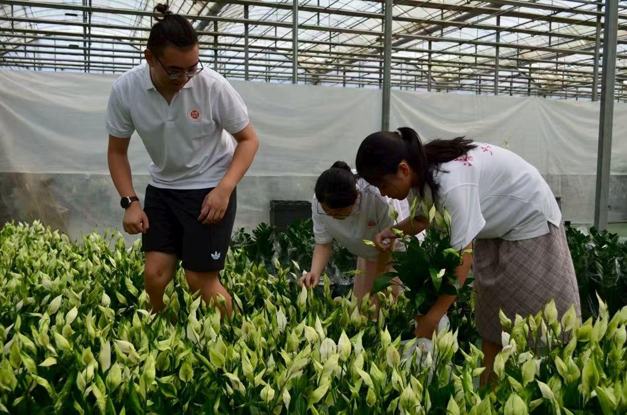 ��һȔ�溽��־Ը����(w��)�F(tu��n)�����ֱ���ۻ����ഺ�x���l(xi��ng)�d