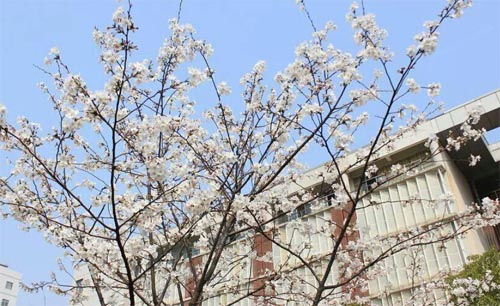 ���c�ѻ�ͬ��