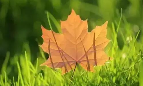 �������y��������