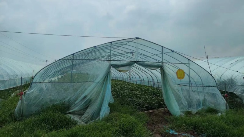 �����Ԅ�(chu��ng)��ע�������l(xi��ng)�����d�������