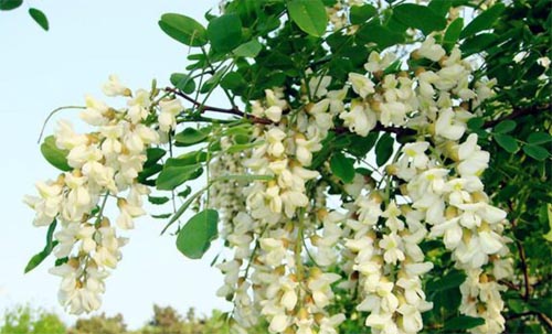 �����µĜ�ů�r��