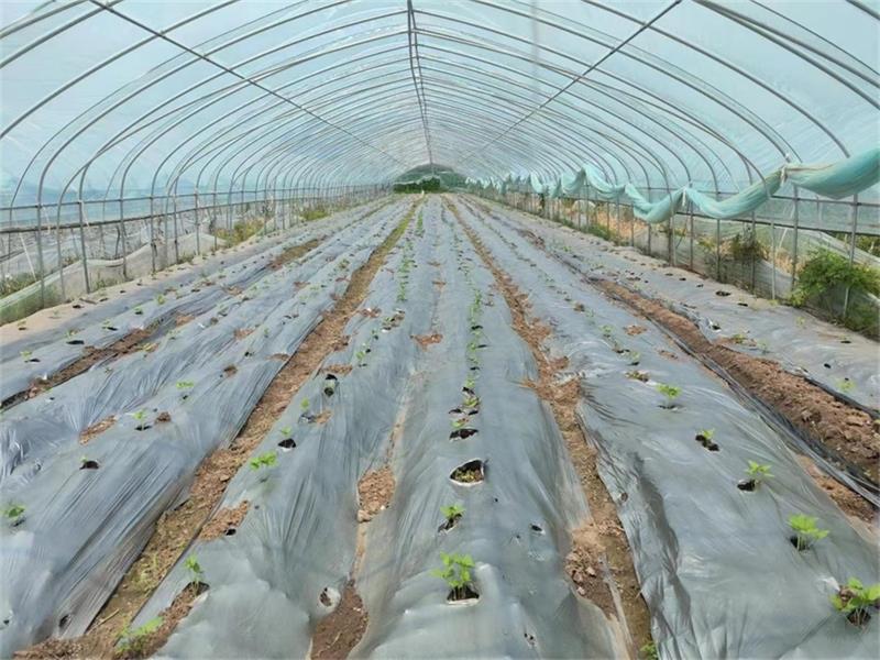 �Ƽ����߲��x�ܣ�ƽ�_��Ŵ��