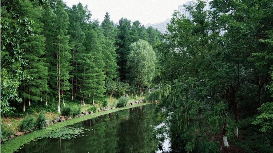 �g���}���� ���Ɲ����