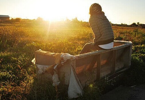 �����ώ���(du��)���Լ��W(xu��)�������\(ch��ng)��棬�������������