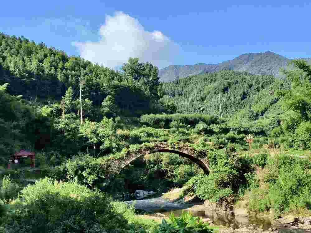 ��W���������ɽ������l�����d��֧�� �{�� ������ա��M�@�L�ɡ�