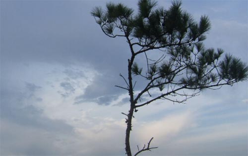 �]��Ŀ��(bi��o)�������W(xu��)�������һ���ǻďU�ģ�