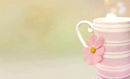 �������ÿ�