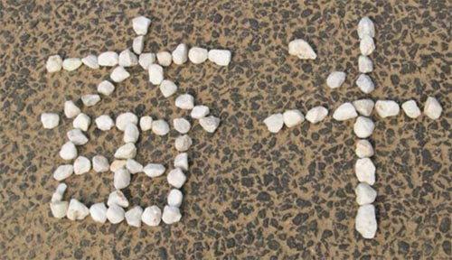 ������;���ܰ�;���U���L(f��ng)��ʺ�Ҳ������