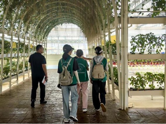 ɽ�|�W(xu��)�������l(xi��ng)��̽���ǻ۲ˈ@����a�۹�ģʽ��(sh��)�`