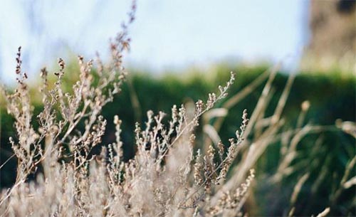 �ڻ�ʢ�_�ļ���(ji��)��Ҋ����