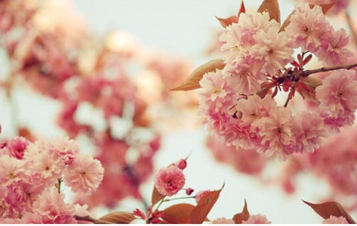 �����ϳ������Լ����䌍(sh��)�]�����܉������