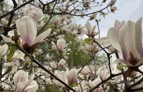 ��֮��������·