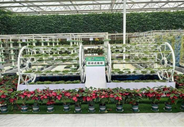 ����ɽ�|�W(xu��)�������l(xi��ng)��̽�L�o(j��)�������@�^(q��)����a�߲ˮa(ch��n)�I(y��)���d�ܴa