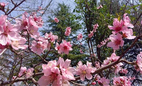 ��ϲ�g������