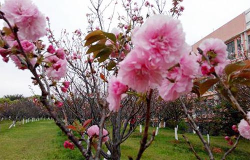 ���L(f��ng)���洺���