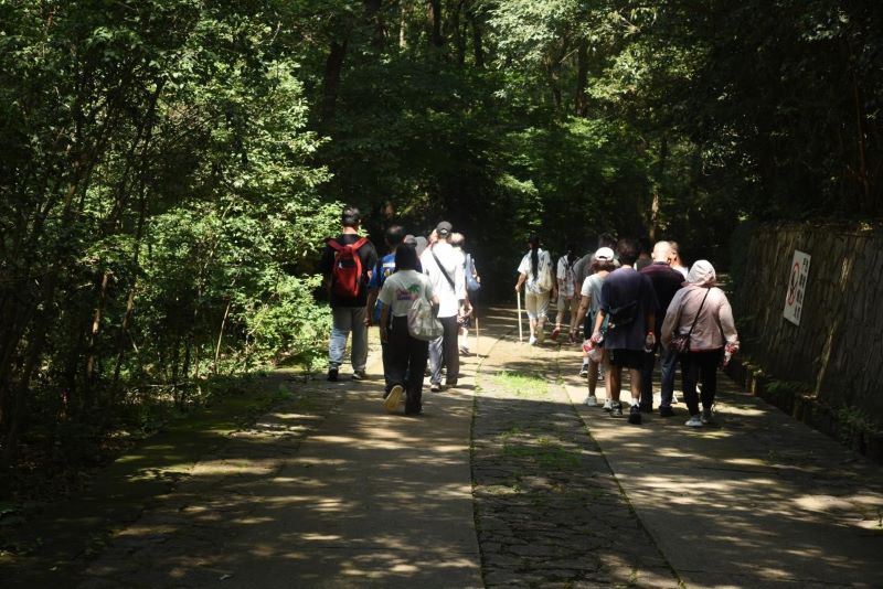 ����ʵ��Ͼ��Ͻ�ɽ ��3)