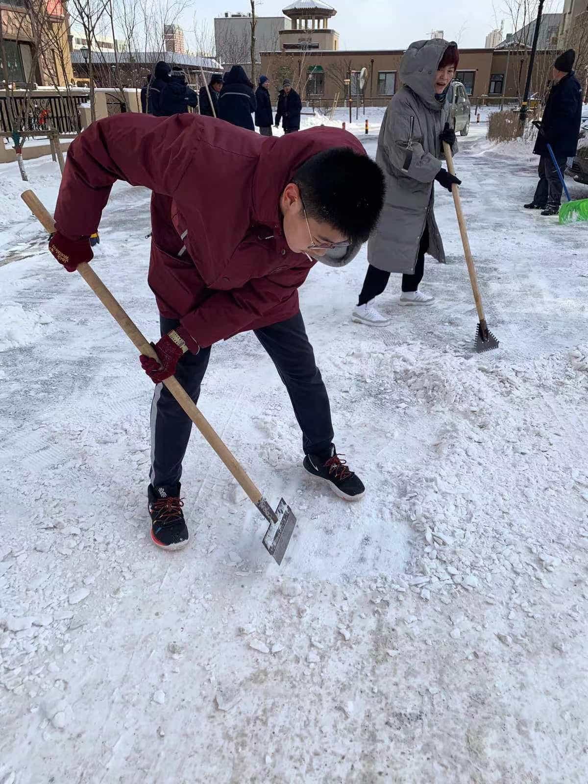 ���ľ�����ѩæ���ǻ�����͜���