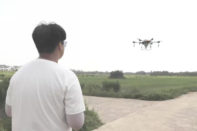 �����Ϣ���̌W(xu��)Ժ��ֲ���L�ﮠ ��(sh��)�`���r(n��ng)��