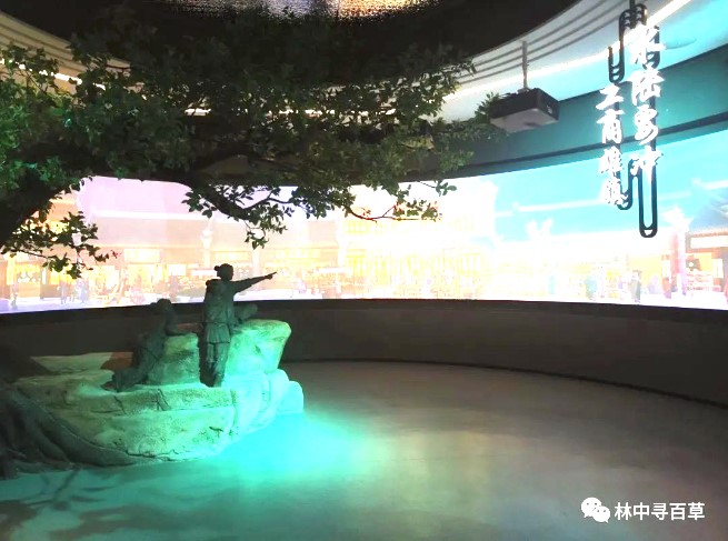 ���Ќ��ٲ� | ���ڌ��`��ʽ�_ʼ