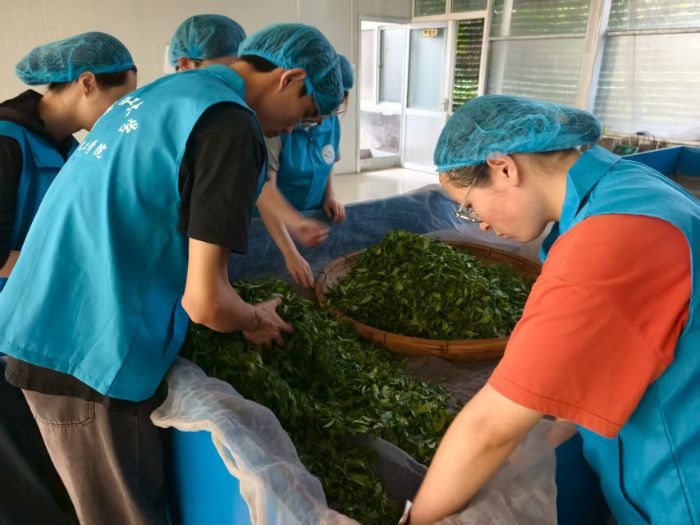 �����ŷ�����ˇ�����������m����