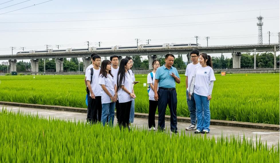 �������l���M�Еr|̤����· �����L� ��δ��؟