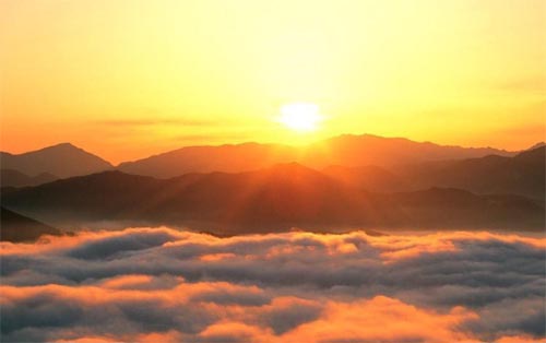 ��Ӱ����