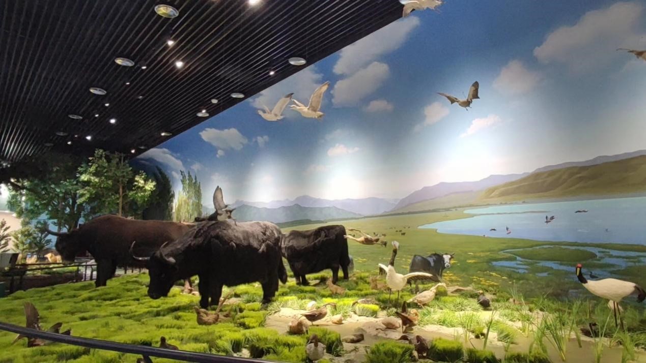 �Gɫ�мs���f����Ϣ