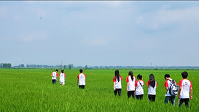 ��Խ��Ұ�����ܴ��׵��Q������F���������l�����d