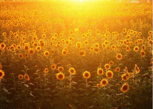 ��ʮ����֮�꣬���Ҫ˼���Ć��}������Щ