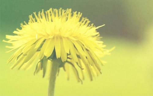 Ը�҂�������������