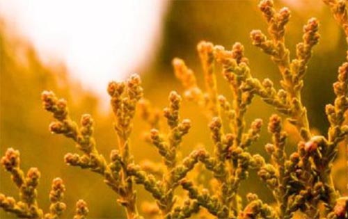 �r��\�Пo�K���`֮��