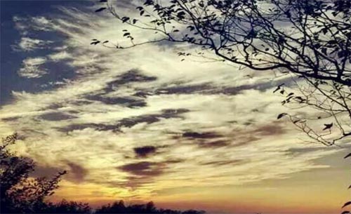 ǧ���Ժ�M�L��