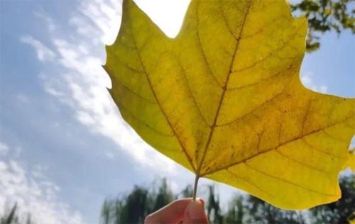 �¾��H���WԺ