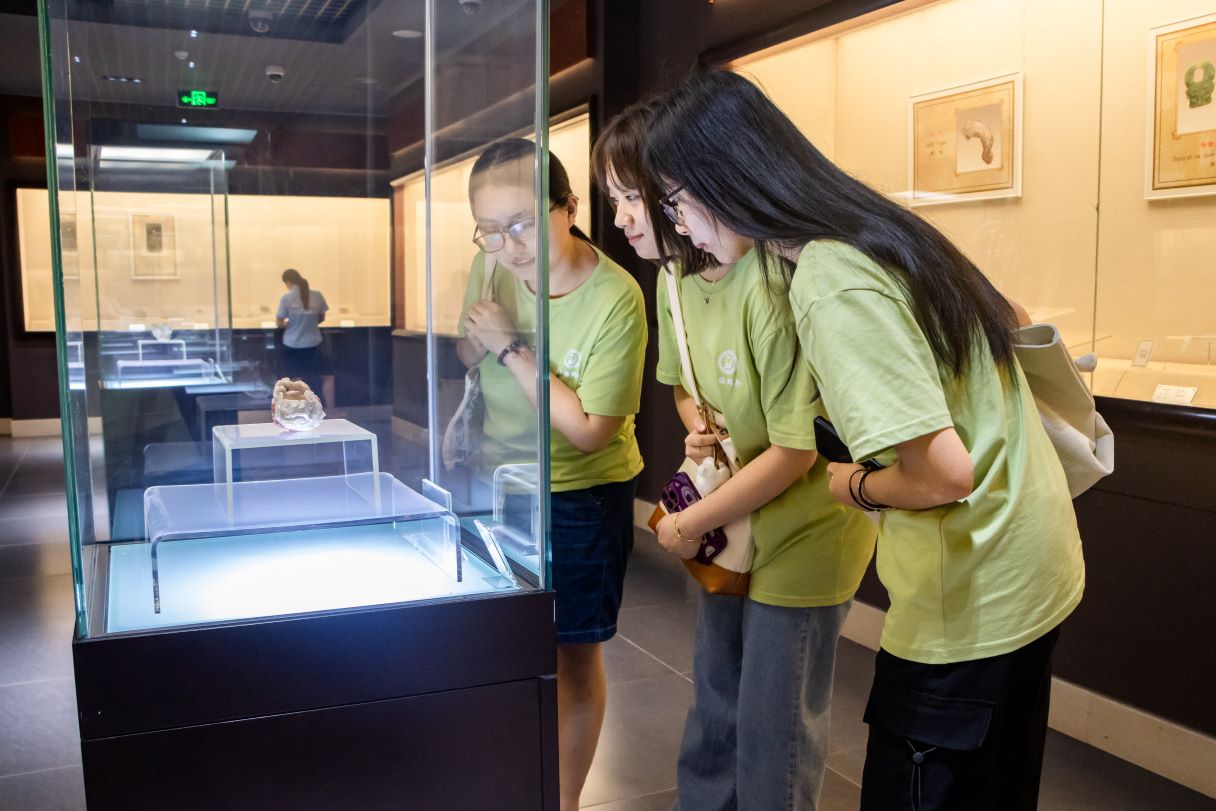 �����ݲ����^�����h����Դ���p�Ļ����