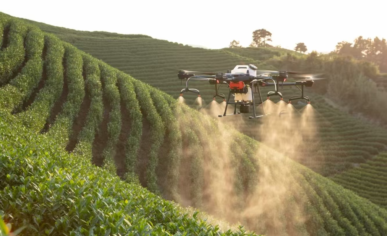 �ƶˆ�(w��n)Ӌ(j��)̽�r(n��ng)�� ��(sh��)��(j��)��������d �����Ğ������(du��)�_(k��i)չ�ǻ�ֲ����(j��ng)��(j��)Ч�澀���{(di��o)�Ќ�(sh��)�`