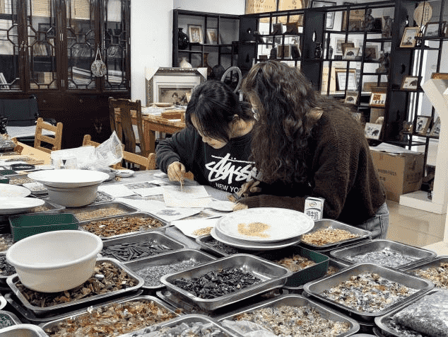 ���z���n�ã�������ƪ�¡����V��������W��ʯ����������`��_չ������`���