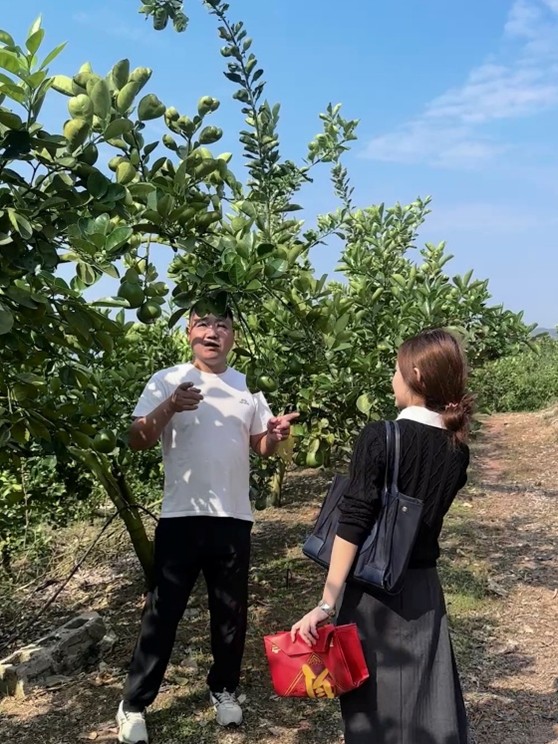 ��ͫ�ţ���ˎ�������o��̽���߃rֵ�r�����x���c�O���ƾ�֮��