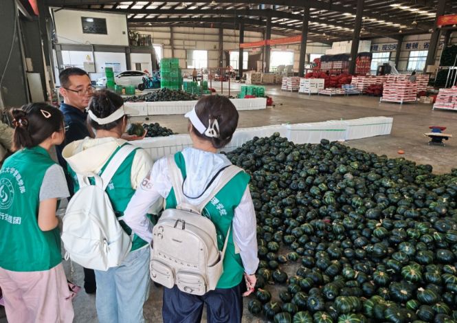 ɽ�|�W(xu��)�������l(xi��ng)���۹�@���L�������������Ғ��;